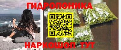 ПСИЛОЦИБИНОВЫЕ ГРИБЫ Кулебаки