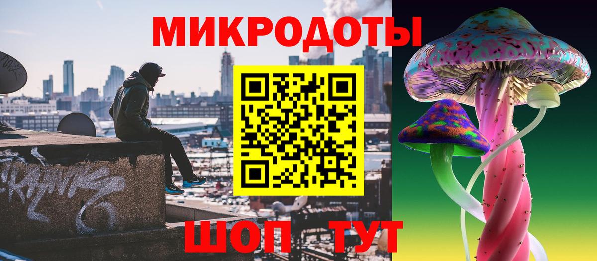 Псилоцибиновые грибы Cubensis Каменка