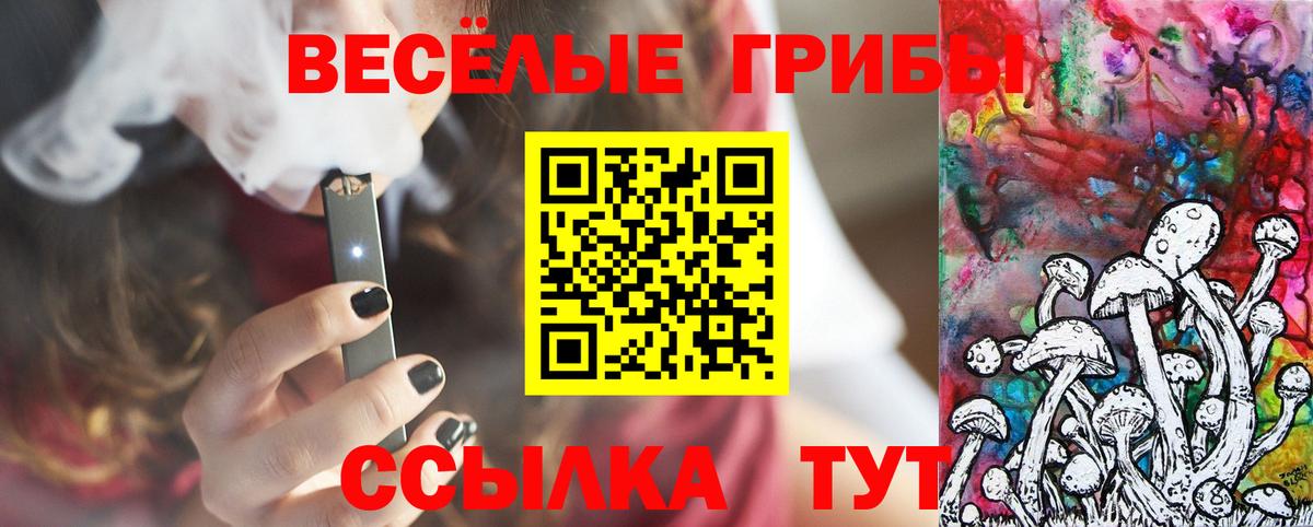 Меф кристаллы  Конопля  ГАШИШ  МЕТ  COCAIN  Амфетамин кристаллы  Экстази  Купить закладку  Каменка  Вход с VPN  Лсд 25 